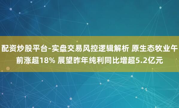 配资炒股平台-实盘交易风控逻辑解析 原生态牧业午前涨超18% 展望昨年纯利同比增超5.2亿元