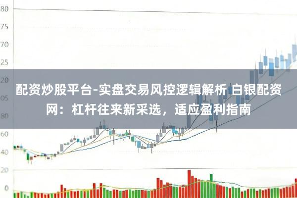 配资炒股平台-实盘交易风控逻辑解析 白银配资网:杠杆往来新采选,适应盈利指南